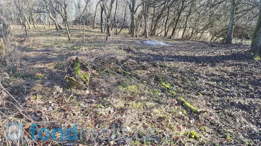 Prodej zahrady, Slavonice, 634 m2