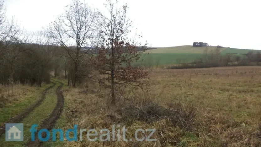 Prodej pole, Srby, 24690 m2