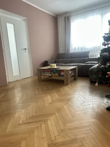 Pronájem bytu 2+1, Olomouc, Fragnerova, 56 m2