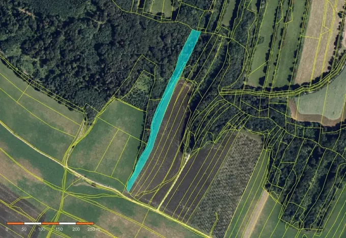 Prodej pole, Ludmírov, 62250 m2