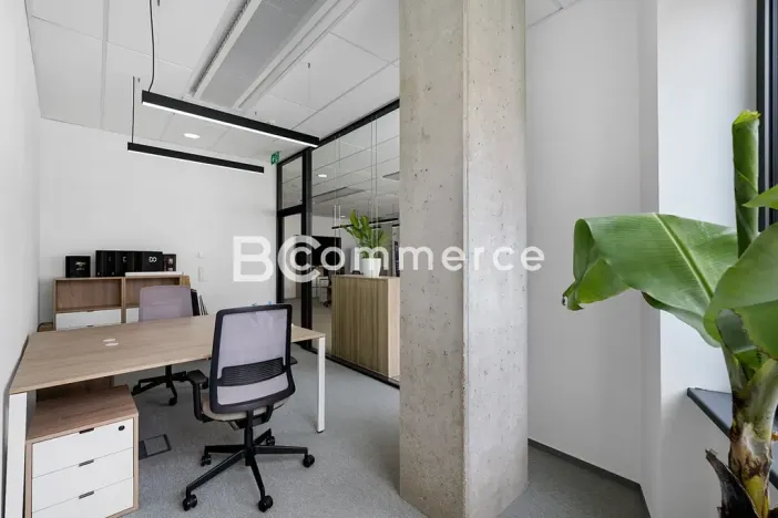 Pronájem kanceláře, Brno, 235 m2