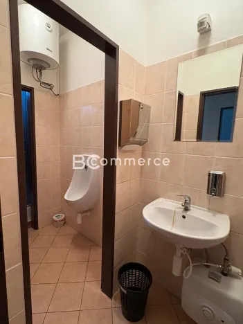 Pronájem kanceláře, Brno, 115 m2