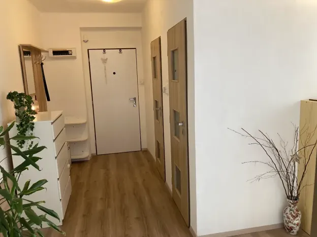 Pronájem bytu 2+1, Luštěnice, 53 m2