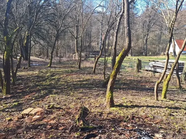 Dražba pozemku pro bydlení, Slavonice, 634 m2