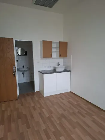 Pronájem ordinace, Plzeň, Purkyňova, 15 m2
