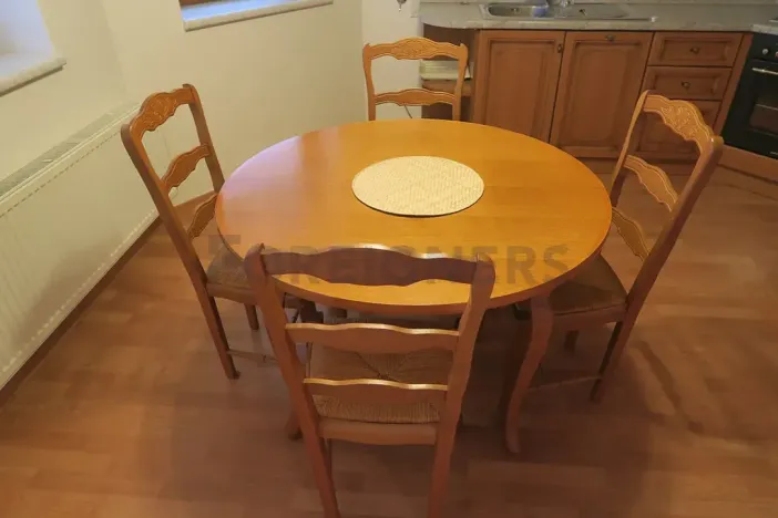 Pronájem rodinného domu, Brno, Hatě, 370 m2