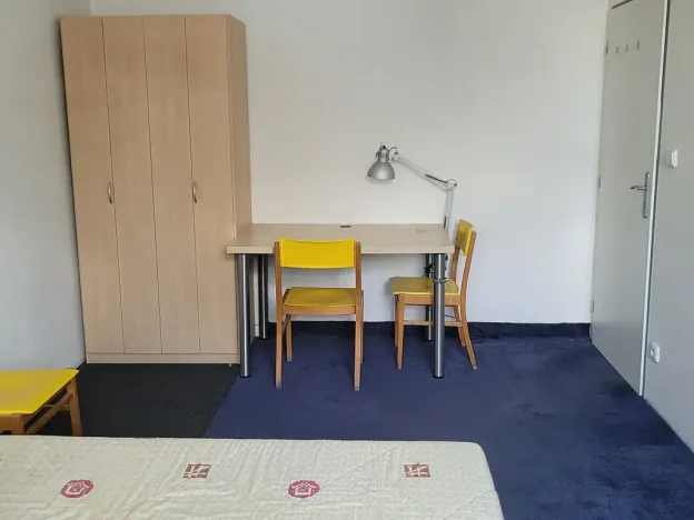 Pronájem pokoje, Brno, Vídeňská, 15 m2