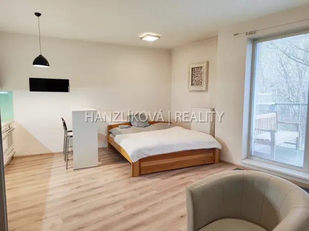 Pronájem bytu 1+kk, České Budějovice - České Budějovice 2, Volejbalistů, 42 m2