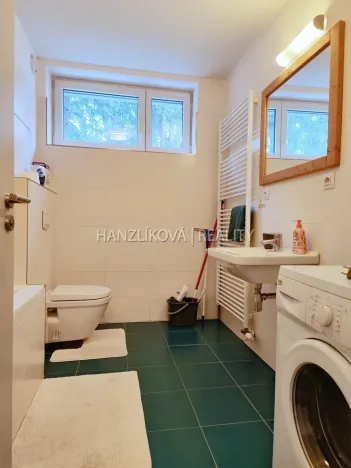 Pronájem bytu 1+kk, České Budějovice - České Budějovice 2, Volejbalistů, 42 m2