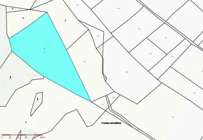 Prodej pole, Svratka, nám. Nár. povst., 17965 m2