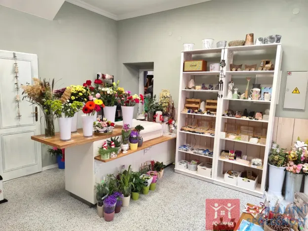 Prodej rodinného domu, Znojmo, Velká Michalská, 326 m2