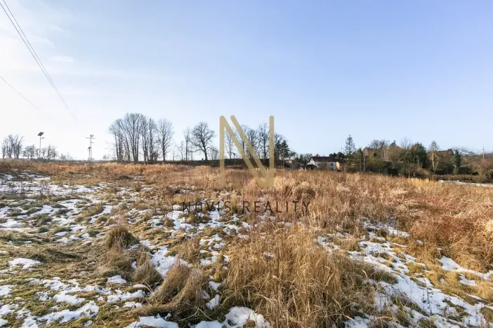 Prodej komerčního pozemku, Skalná, 10095 m2