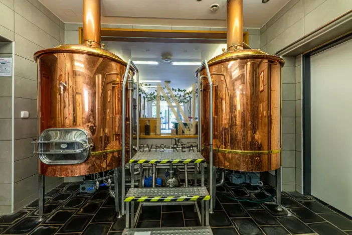 Prodej ubytování, Letiny, 646 m2