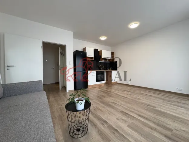 Pronájem bytu 1+kk, Český Brod, Kounická, 33 m2