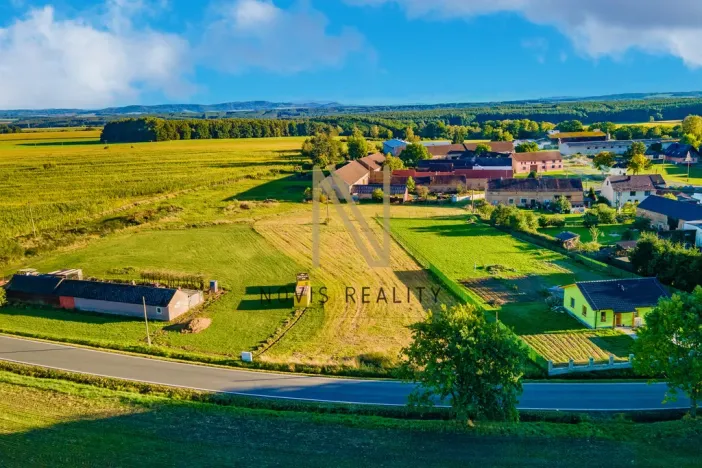 Prodej pozemku pro bydlení, Puclice, 3058 m2