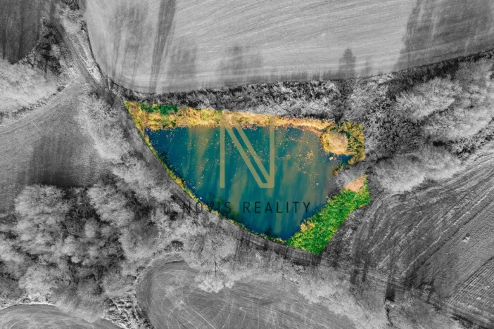 Prodej rybníku, Týnec, 2713 m2