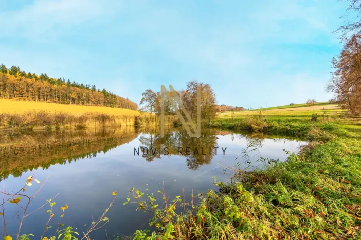 Prodej rybníku, Týnec, 2713 m2