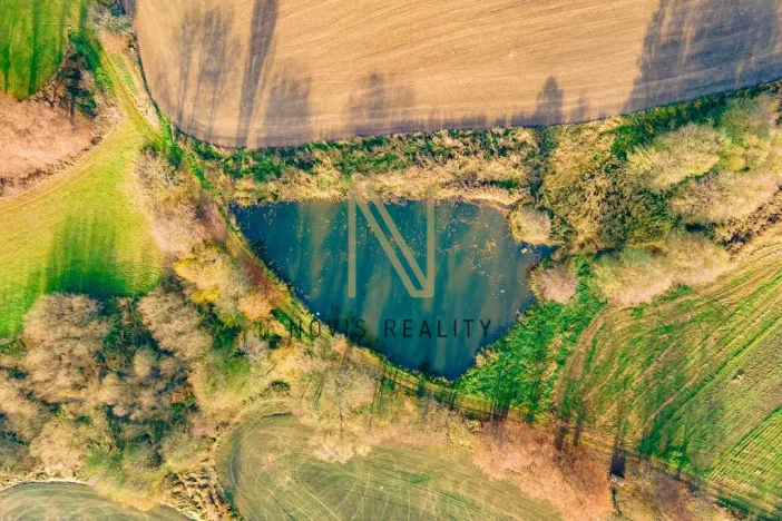 Prodej rybníku, Týnec, 2713 m2