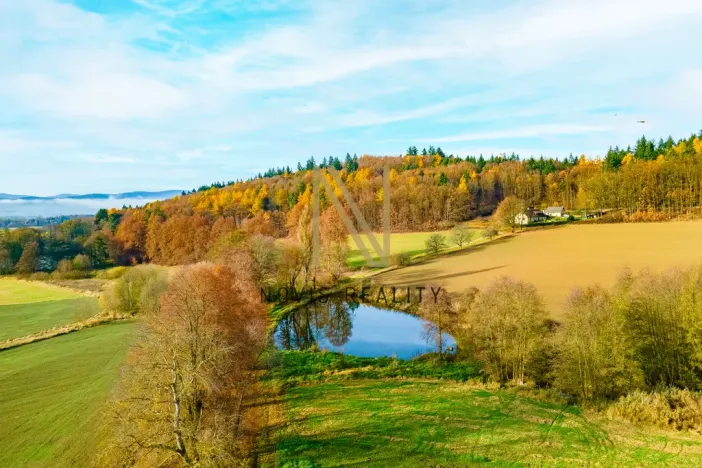 Prodej rybníku, Týnec, 2713 m2