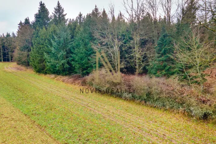 Prodej lesa, Chudenice, 7475 m2