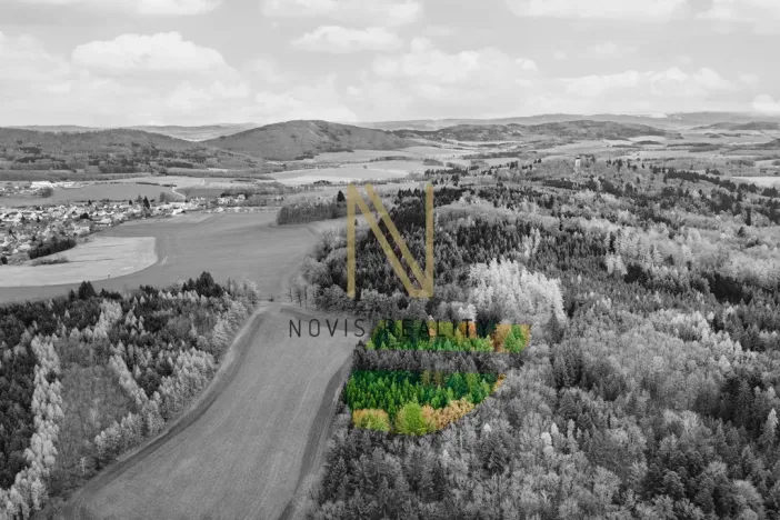 Prodej lesa, Chudenice, 7475 m2