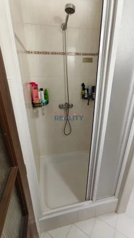 Pronájem bytu 1+kk, České Budějovice, Rudolfovská tř., 24 m2