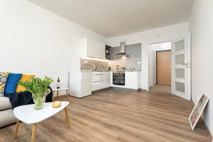 Prodej bytu 1+kk, Ostrava, Hornopolní, 29 m2