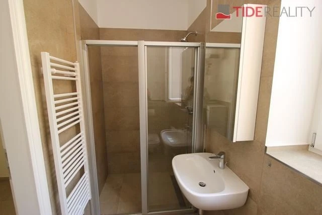 Pronájem bytu 1+1, Praha, Myslíkova, 50 m2