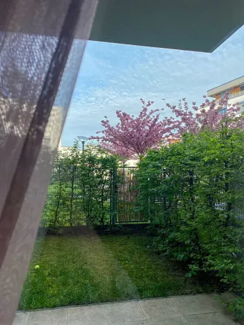 Pronájem bytu 2+kk, Praha - Hloubětín, Krylovecká, 55 m2