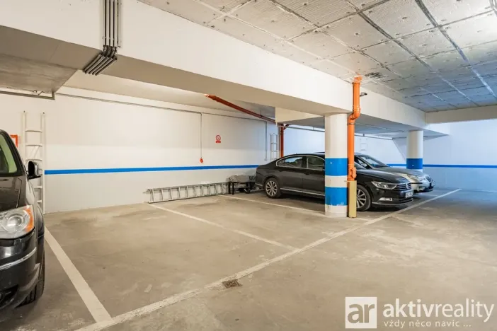 Pronájem bytu 4+kk, Praha - Vinohrady, Perucká, 180 m2