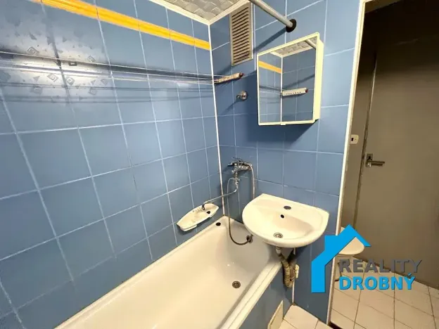 Pronájem bytu 2+1, Děčín, Severní, 50 m2