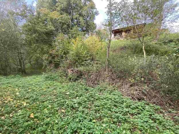 Prodej pozemku, Svijany, 1003 m2