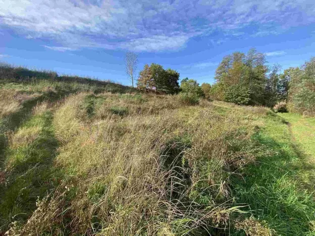 Prodej pole, Svijany, 1263 m2