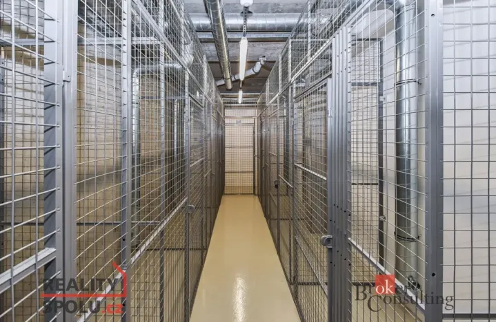 Pronájem bytu 1+kk, Praha - Libeň, Nad Rokoskou, 42 m2