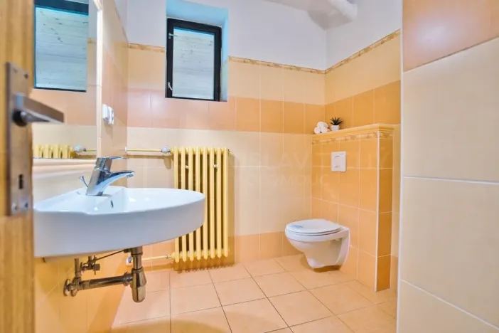 Prodej vícegeneračního domu, Velké Losiny, Žižkova, 431 m2