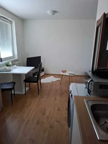 Pronájem bytu 1+kk, Přáslavice, 27 m2