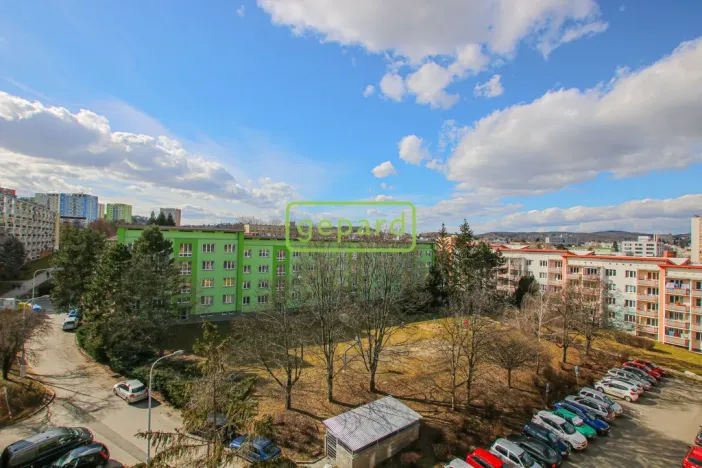 Pronájem bytu 1+1, Brno, Palackého třída, 39 m2