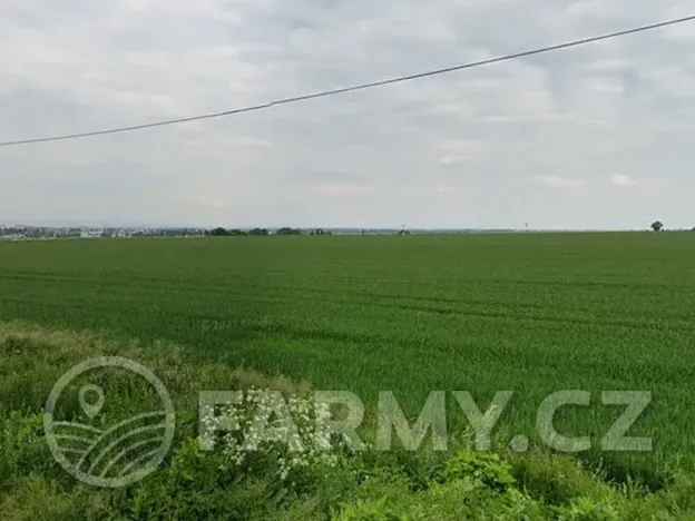 Prodej pole, Prostějov, 10959 m2