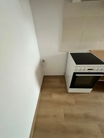 Pronájem bytu 1+1, Děčín, Podmokelská, 40 m2