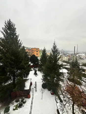 Pronájem bytu 2+1, Děčín, El. Krásnohorské, 47 m2