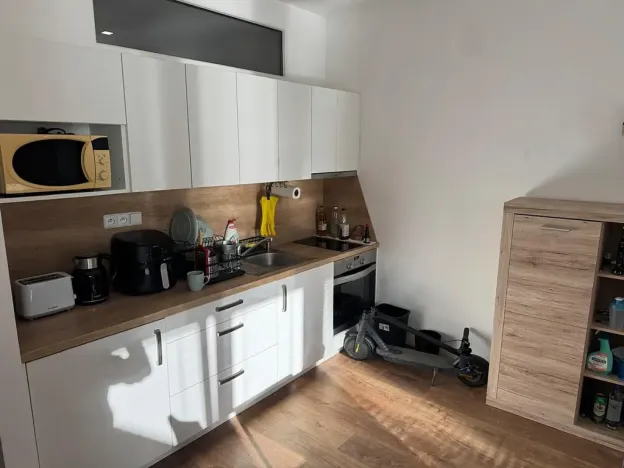 Pronájem bytu 1+kk, Brno, Dřevařská, 40 m2