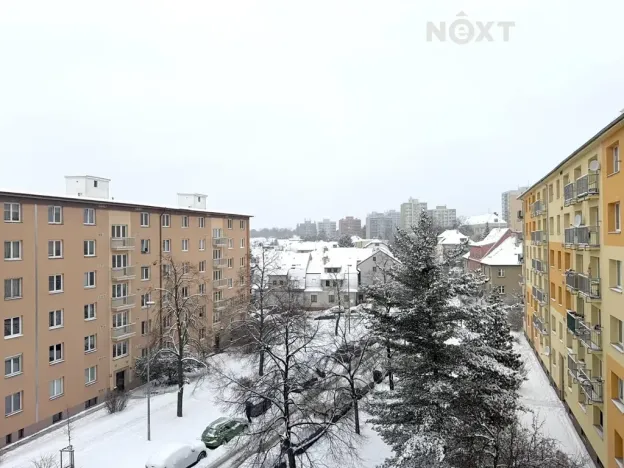 Prodej bytu 2+1, Praha - Žižkov, Pod lipami, 52 m2