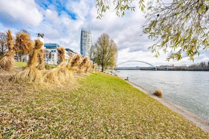 Prodej bytu 2+kk, Praha - Vinohrady, Polská, 61 m2