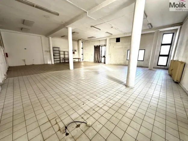 Pronájem obchodního prostoru, Příbram - Příbram VII, Bož. Němcové, 173 m2