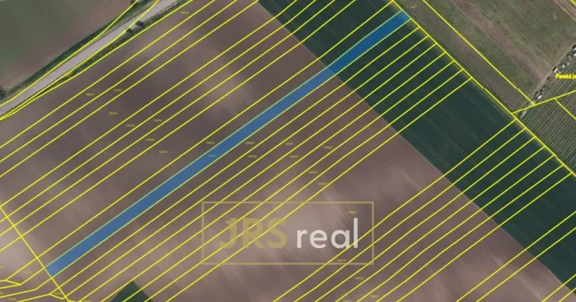 Prodej pole, Bořetice, 4209 m2