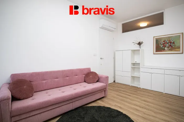 Pronájem bytu 2+kk, Brno - Staré Brno, Křídlovická, 48 m2