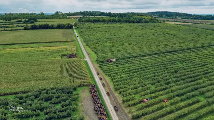 Prodej sadu/vinice, Červené Pečky, 13966 m2