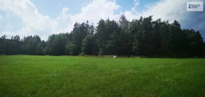 Prodej lesa, Nečín, 59470 m2