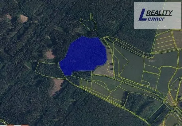 Prodej lesa, Nečín, 59470 m2