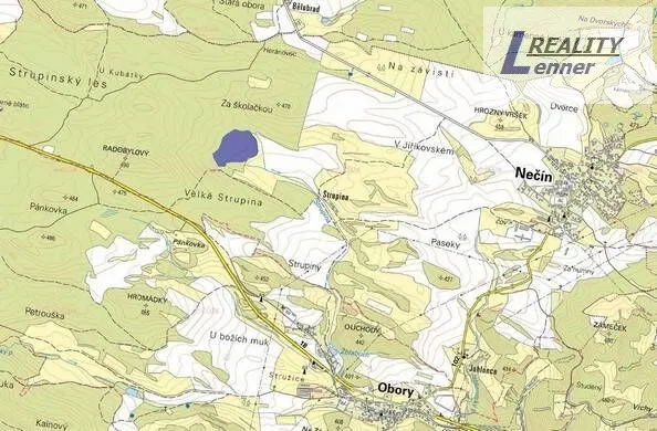 Prodej lesa, Nečín, 59470 m2